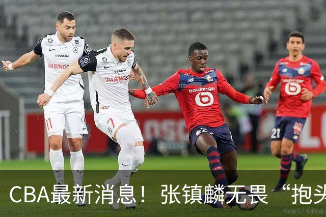 CBA最新消息！张镇麟无畏“抱头哥”称谓，辽宁助教加盟浙江，广厦续约布朗